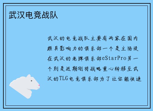 武汉电竞战队